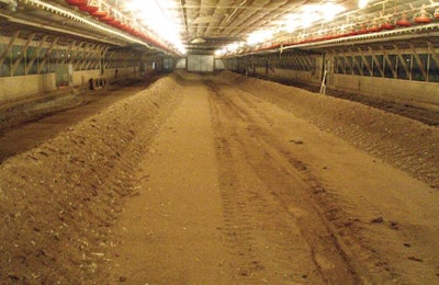 Windrow composting of built-up litter in the poultry house can improve health and performance of broilers on farms with health challenges if properly implemented. | Courtesy Bud Malone
