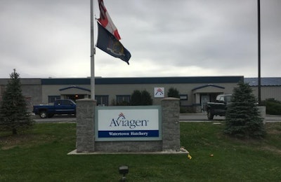 Aviagen is now delivering chicks from its new hatchery in Watertown, New York. | Aviagen