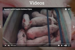 screen image from www.mercyforanimals.org