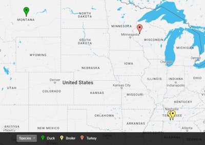 Track avian influenza in North American chicken and turkey flocks in 2017 with WATTAgNet's interactive bird flu map. | http://batchgeo.com via Google Maps