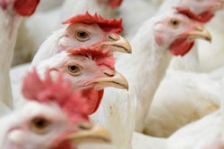 (Yurii Bukhanovskyi | Bigstock)