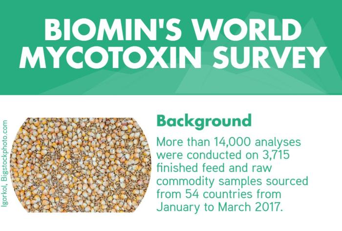 Infographic: Biomin’s World Mycotoxin Survey | WATTAgNet | WATTPoultry.com