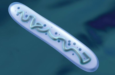 Lactobacillus is a commonly used component of probitoics, and its beneficial properties have been known since the 1960s. | Spectral-Design, Bigstock.com