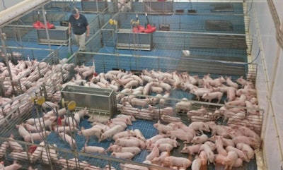 Inside Fair Oaks Farms' pig facility | photo by Tim Wall