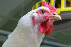 Yurii Bukhanovsky | Bigstock.com