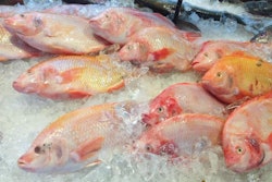 ascom73, Bigstockphoto.com