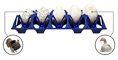 Twinpack-EggsCargoSystem-XXL-tray