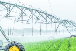 (279photo, Bigstock)