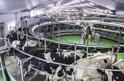Utilization of metaproteomics, transcriptomics, nutrigenomics and metabolomics may drive efficiency and sustainability in dairy production in the future. | Science RF