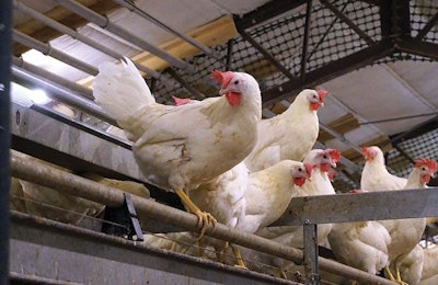 Perch space per hen is an example of a resource-based welfare standard. | Austin Alonzo