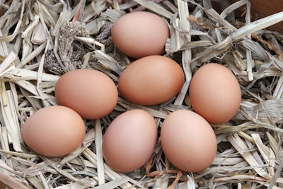 Las entidades que favorecen los huevos de gallinas libres de jaulas alegan que, de esta forma, también se vela por el bienestar animal. | Freeimages.com/Robert Michie