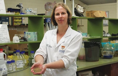 Studies on including whole grains in broiler diets, carried out by Amy Moss at the University of Sydney, have found that feed conversion rate increases while feed costs go down. | Jesse Wooldridge