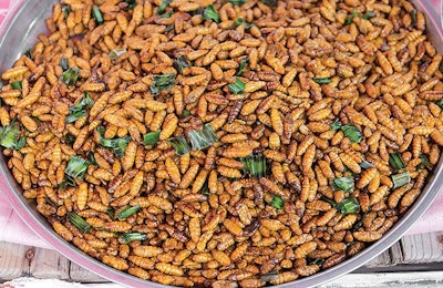 Are we ready to consume chicken products from birds fed insect meal? | Weerayos Surareangchai, Dreamstime.com