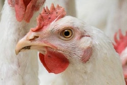 Yurii Bukhanovskyi, Bigstock