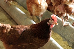 Photo by Andrea Gantz