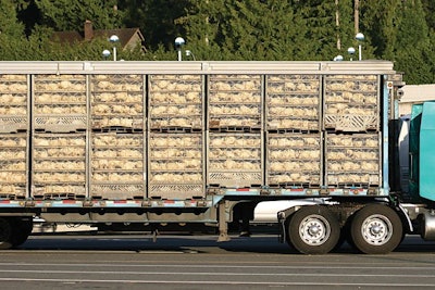 The panelists agreed the transport and handling of broilers from the farm to processing is the point where welfare improvements would be most effective. | Burl Jantzen, iStockPhoto.com