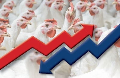 Chicken Price Volatility 2