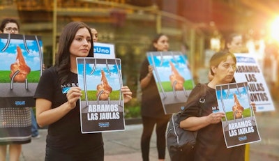 Manifestantes en el WTC de la Ciudad de México piden a Walmart que venda huevos de gallinas sin jaulas. | Foto cortesía de Mercy for Animals