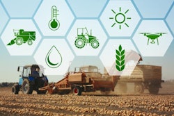 Yastremska, Bigstock