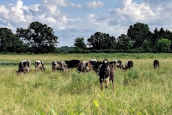 Photo by Andrea Gantz