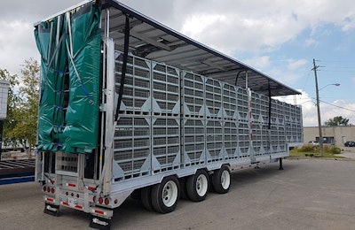 Poultry transport trailers utilizing removable, fabric sidewalls to protect the animals from exposure may see wider adoption in the industry in the near future. | Photo courtesy Curtainsider Inc.