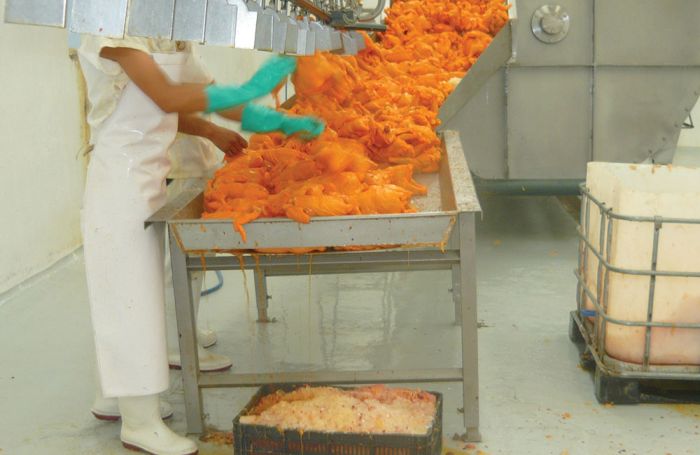 How to ensure efficient processed chicken packing | WATTAgNet ...