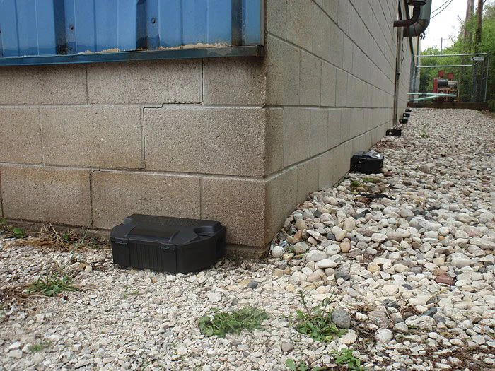 Rodent Box System People are the key to rodent control on poultry farms | WATTAgNet ...