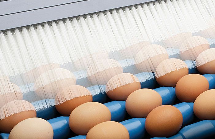 Photo courtesy of Sanovo