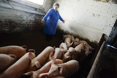 Russia wants to cut the use of antibiotics in feed. | Leningrad Oblast government