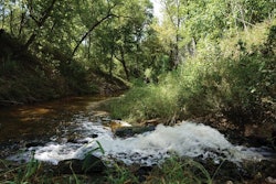 Treated water from the Waco processing facility is released into Tehuacana Creek, a tributary to the Brazos River. | Austin Alonzo
