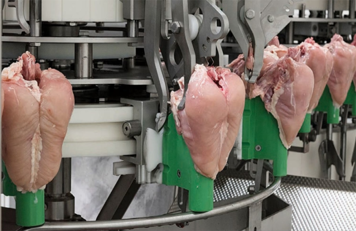 henderson food machinery limited