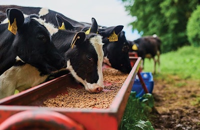 A ruminant feed quality assessment should predict the behavior and fate of nutrients from feed materials and the influence on the gut ecosystem. | PeopleImages, iStock.com