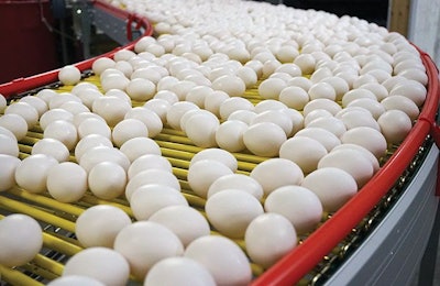 eggs-conveyor