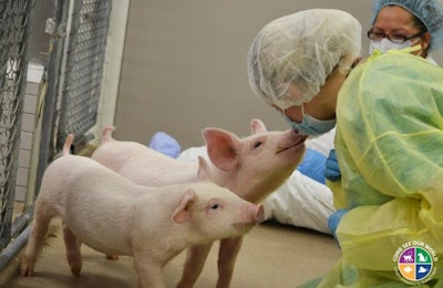 To convince a skeptical public, medical researchers are showing the compassion they have for their laboratory animals. | Americans for Medical Progress