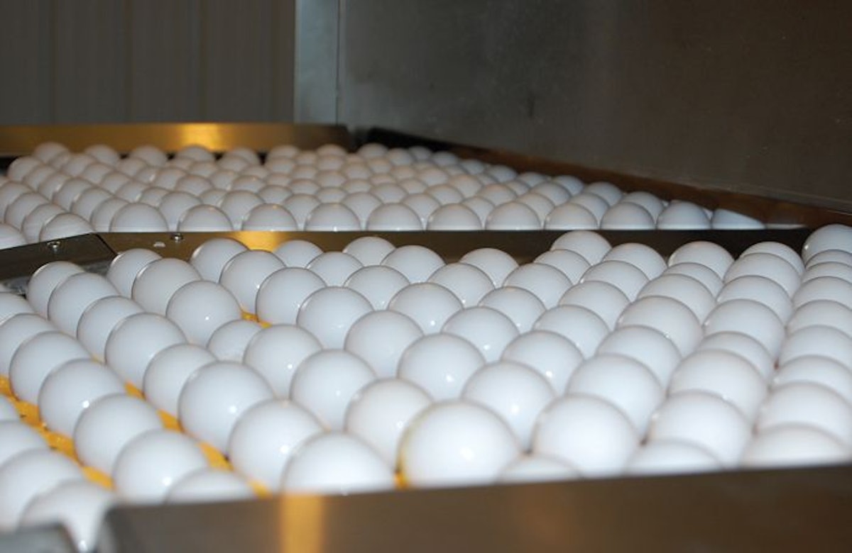 Outbreak-related hard boiled egg recall now includes consumer products