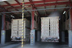 Broilers must be kept cool while waiting to enter the processing plant. (Eduardo Cervantes López)