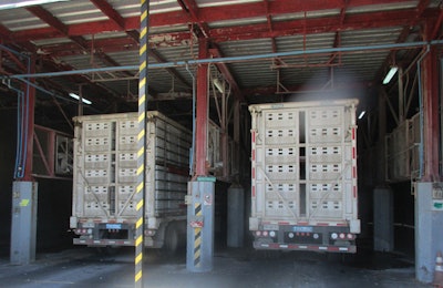 Broilers must be kept cool while waiting to enter the processing plant. (Eduardo Cervantes López)