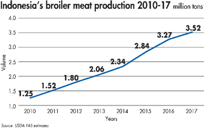 Output in Indonesia’s broiler meat production has been steadily rising. However, regulatory reform could mitigate any slowdown in the sector while contributing to making chicken meat more widely available.