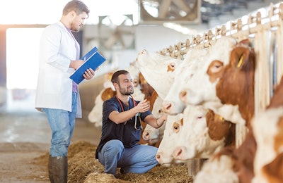Can industry accomplish antibiotic-free animal production? (123ducu | istock.com)