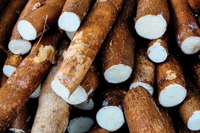 When fed to ruminants, yucca may be used produce antimicrobial and emission-reducing effects. (Julio Ricco | istock.com)