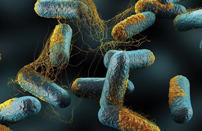 Researchers study how bacteriophages could be used as antibacterial agents against Clostridia perfringens. (decade3d | iStock.com)