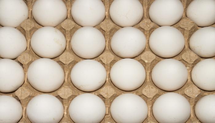 begun1983, BigStock.com