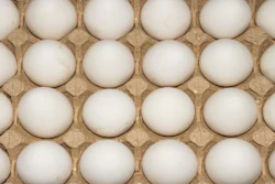 begun1983, BigStock.com