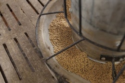 patarapong | adobestock.com