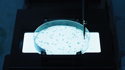 Customer bacteria samples are grown on a petri dish. A robot counts the number of bacterial cells (colony-forming units or CFU) and then transfers a predetermined number of isolated CFUs into a 96-well block for growth and further analysis. (Courtesy Arm & Hammer)