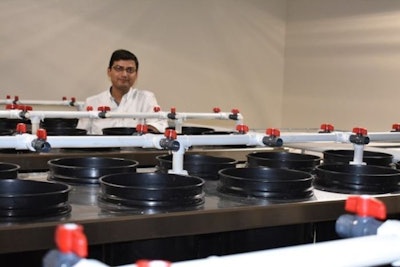 Vikas Kumar, assistant professor of research (fish nutrition and nutrigenomics) at the University of Idaho, and the shrimp feed testing system at the school's Aquaculture Research Institute. (Courtesy University of Idaho Aquaculture Research Institute)