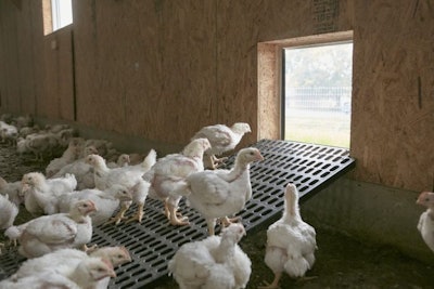 Perdue Farms is continuing to expand the number of farms with free-range, outdoor access with a goal of 25 percent of houses having outdoor access by January 2020, to help meet the growing demand for Perdue Harvestland organic and free-range chicken. (Perdue Farms)