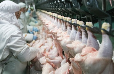 Advances in automation can ease labor issues in poultry processing. (vodograj | Shutterstock.com)