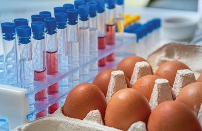 Taking the proper steps to ensure eggs are free of Salmonella is critical to food safety. (vchal | BigStock.com)