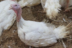 (Photo by Patricia May)